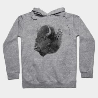 European bison Hoodie